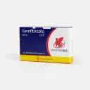 Gemfibrozilo 600mg 20 Comp. – vista 2